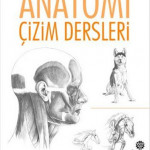 Anatomi Çizim Dersleri