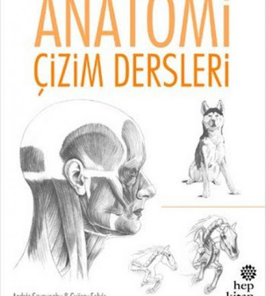 Anatomi Çizim Dersleri